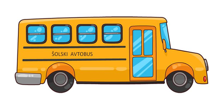 mali bus