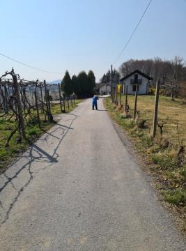 277539068_938288106873072_8887174904916277571_n