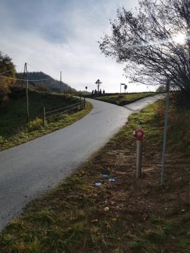 316457145_661566948933822_8506112147516310364_n