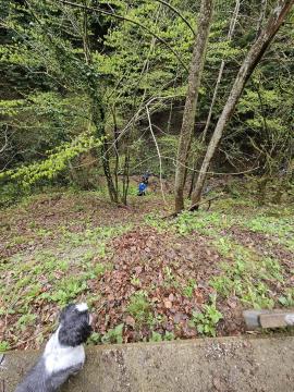 342889688_1394221531402438_7152598212567170548_n