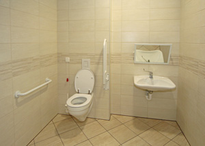 Sanitariji